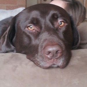 Meet your Posher, Dan